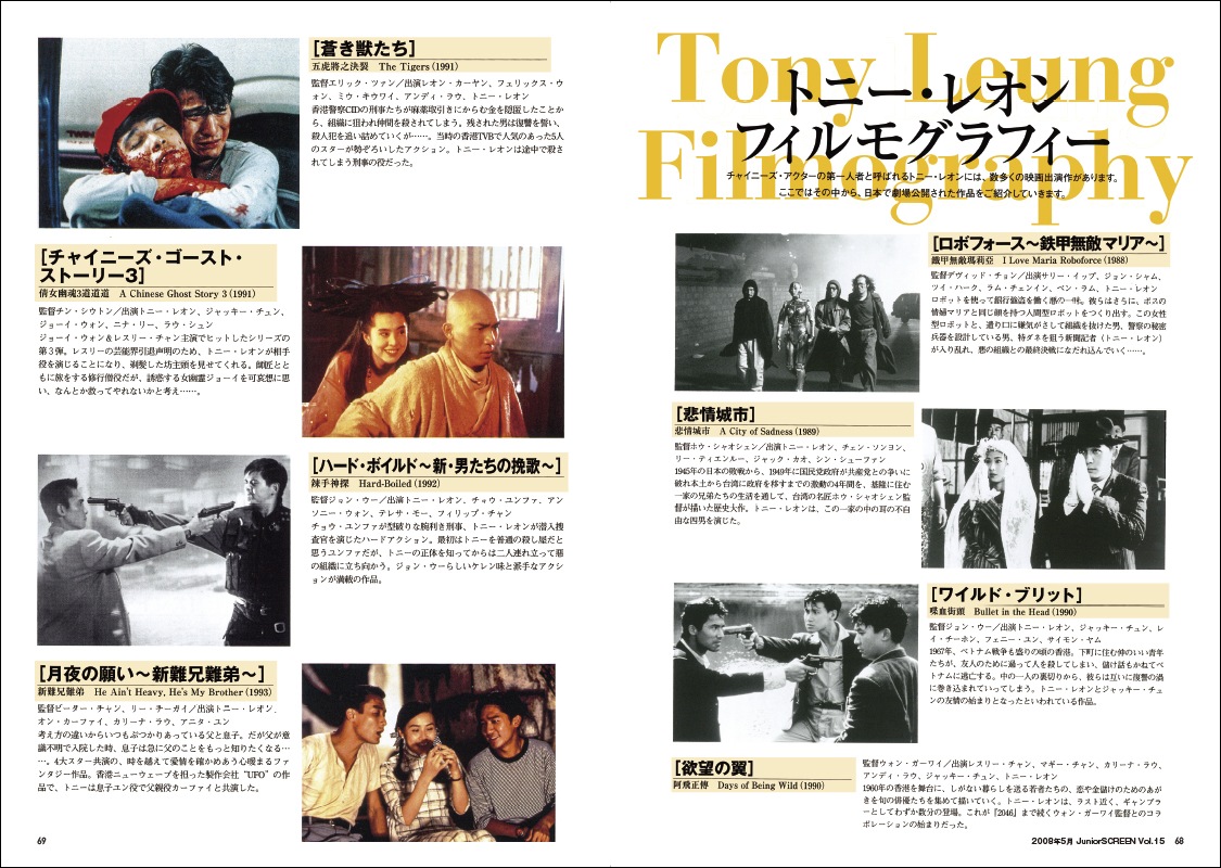 非情城市　A CITY OF SADNESS レーザーディスク　トニー・レオン 悲情城市 A City Of Sadness : トニー レオン / ホウ