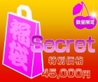 ダーツ福袋【エスダーツ】2014 Winter シークレット|2014 Winter|福袋【エスダーツ】