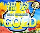 ダーツ福袋【エスダーツ】2016 Summer ゴールド|2016 Summer|福袋【エスダーツ】
