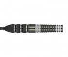 バレル【ターゲット】RVB 95×エコー レイモンド・ヴァン・バーナベルドモデル スイスポイント 23g 190176|RVB Raymond van Barneveld Model|バレル【ターゲッ