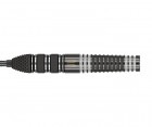 バレル【ターゲット】RVB 95×エコー レイモンド・ヴァン・バーナベルドモデル スイスポイント 25g 190177|RVB Raymond van Barneveld Model|バレル【ターゲッ