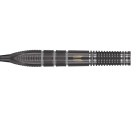 バレル【ターゲット】ネイサン・アスピナルモデル×エコー スイスポイント 23g 190290|Pro Play|バレル【ターゲット】