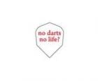 �����ĥե饤�ȡڥ����ե�����C�饤���no darts no life?��