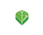 ダーツフライト【プロ】インディーズシリーズ Green Leaf スタンダード|インディーズシリーズ Flight|フライト【プロ】