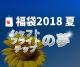 ダーツ福袋2018夏　〜シャフト・フライト・チップの夢〜|福袋|福袋【エスダーツ】