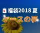 ダーツ福袋2018夏　〜ケースの夢〜|福袋|福袋【エスダーツ】