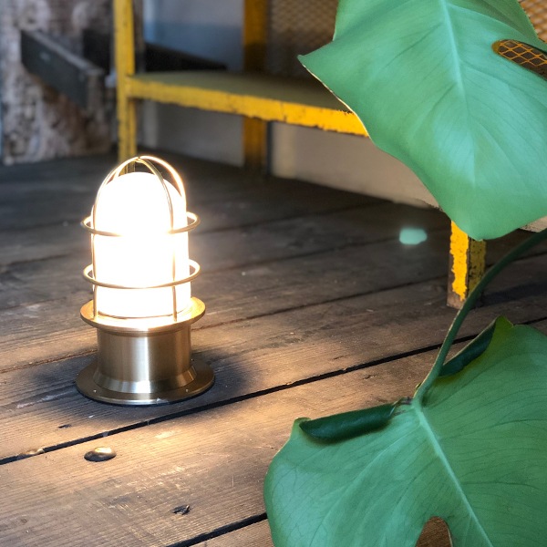 マリンゴールド様確認用 51YngO++YtL._UF350,350_QL50_.jpg