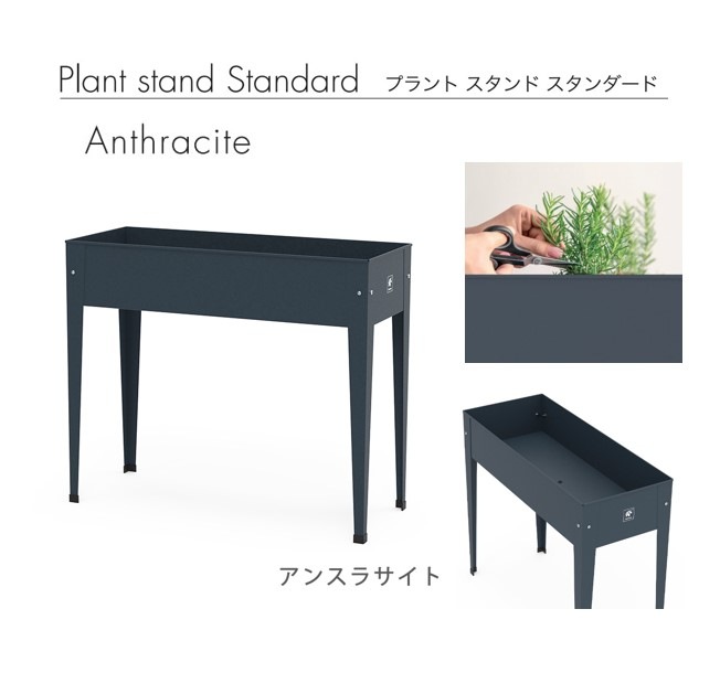 16_000000001415.jpg?1743744022