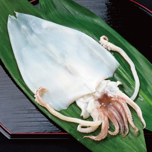 □S-5 剣先いか天日干し | 単品商品 | シーボーン昭徳 オンラインショップ