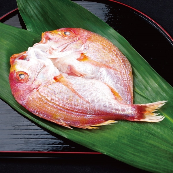 ��S-8 Ϣ���䳫��ŷ������