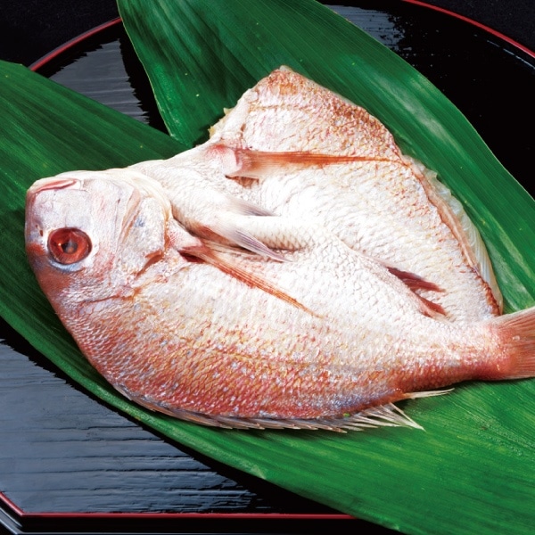 ��S-9 ���䳫��ŷ������