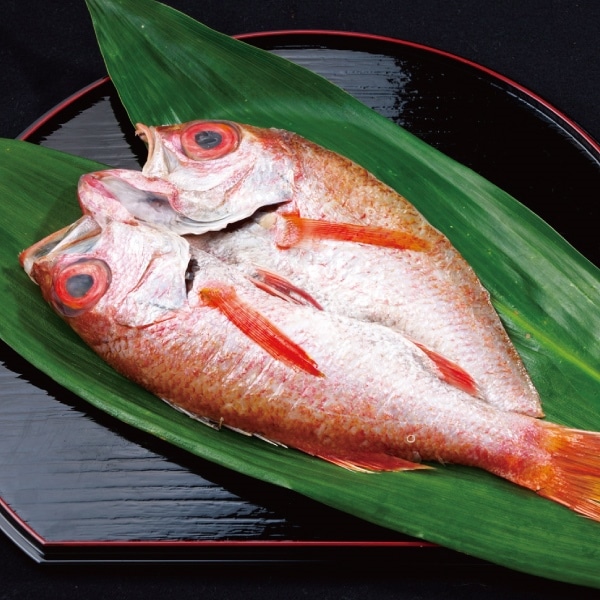 ��S-10a �֤�ĳ���ŷ�������������