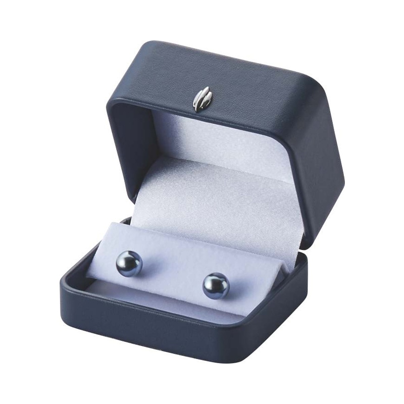 NEWTOTAL イヤリングケース E364YL 紺