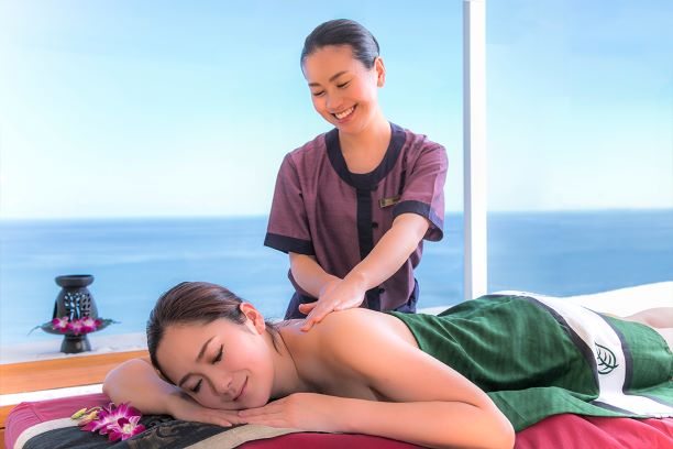 �Х���ĥ꡼�����ѥ��եȷ��ڥܥǥ������ȥ꡼�ȥ��ȡ�