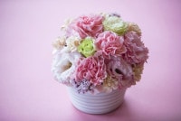 �ڥ��ץ�������������ë���š��ե����եȡ�������� ���ե��̡���ƥ��������ԥ��ե����ѥڡ�����