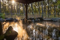 �����ܡַ��ɡ����Ѳ�����ڣ����֤��