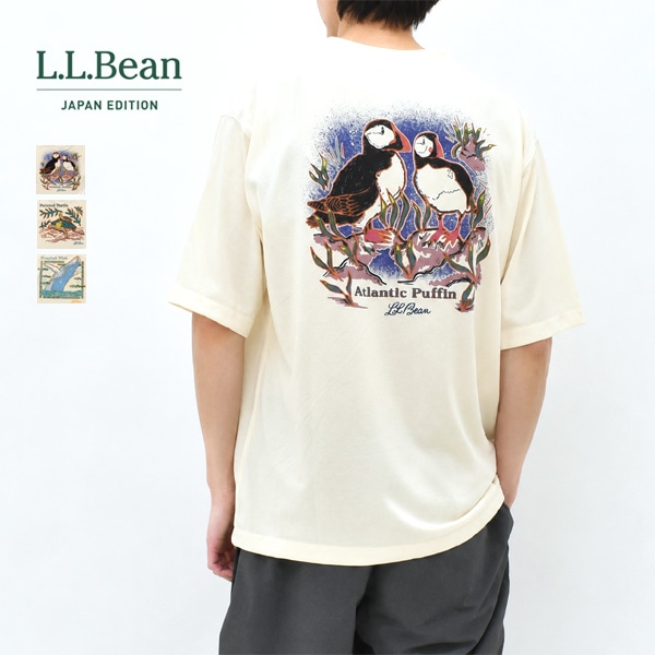 �ڥ�����/40%OFF��L.L.Bean Japan Edition ���륨��ӡ��� ����ѥ󥨥ǥ������ ���˥ޥ�ץ���T����� Dover Foxcroft Short-Sleeve Tee 6275-4048�ڥ���å��ݥ��Ȳġۡ�26 SUMMER SALE�ۡ����ʡ����Բġ�