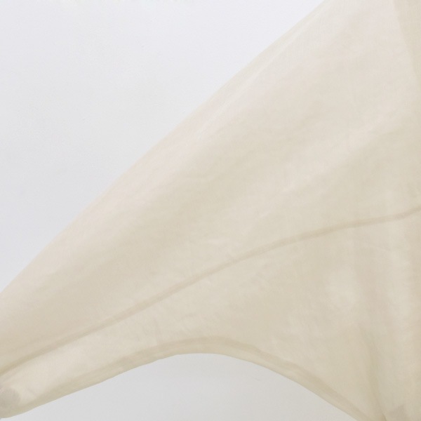 PASSIONE �ѥ������� �������������󥸡������ǥ����� �ʥ����� 526947 ��ǥ�����������̵���ۡڥ���å��ݥ��Ȳġ�