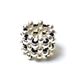 PHILIPPE AUDIBERT �ե���åץ����ǥ��١��� Max L Ring ��� BG5095 ��ǥ�����������̵����