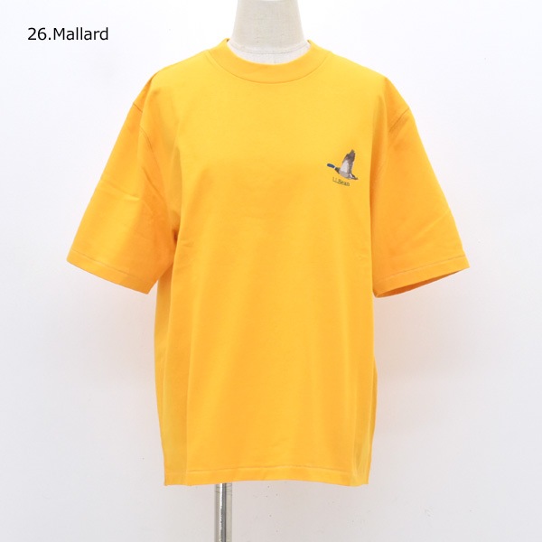 �ڥ�����/30%OFF��L.L.Bean Japan Edition ���륨��ӡ��� ����ѥ󥨥ǥ������ Morrill Short Sleeve Chest Graphic Tee ���� ���ݥ���ȥץ���T����� 6275-4141 ��ǥ������ڥ���å��ݥ��Ȳġۡ�26 SUMMER SALE�ۡ����ʡ����Բġ�