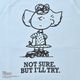 THE SHINZONE ���󥾡��� PEANUTS HALF SLEEVE SWEAT SHIRT �ԡ��ʥå� �������å�T����� 26MMSCU17 ��ǥ�����������̵����