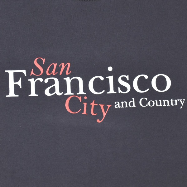 NAT �ʥå� �ץ���T����� "Francisco" ���åȥ� ��ʬµ Ⱦµ N0076 ��ǥ������ڥ���å��ݥ��Ȳġ�