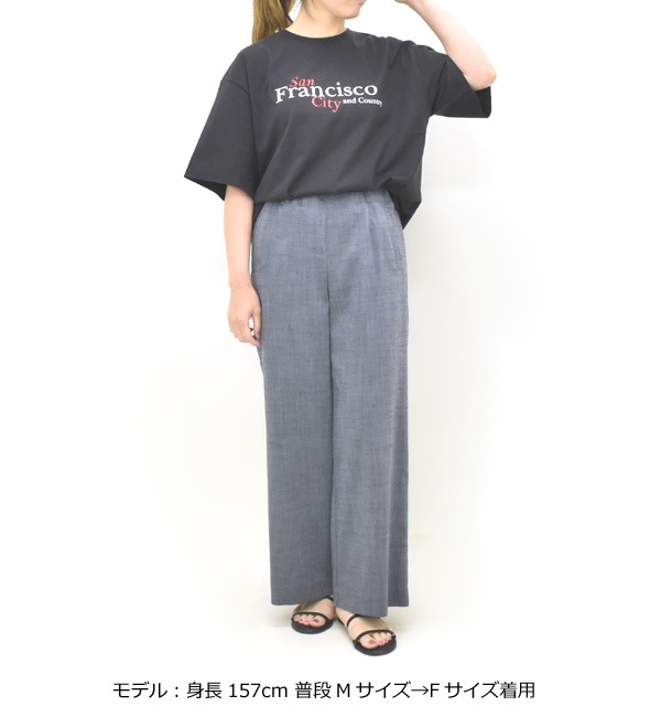 NAT �ʥå� �ץ���T����� "Francisco" ���åȥ� ��ʬµ Ⱦµ N0076 ��ǥ������ڥ���å��ݥ��Ȳġ�