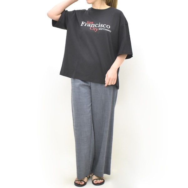 NAT �ʥå� �ץ���T����� "Francisco" ���åȥ� ��ʬµ Ⱦµ N0076 ��ǥ������ڥ���å��ݥ��Ȳġ�