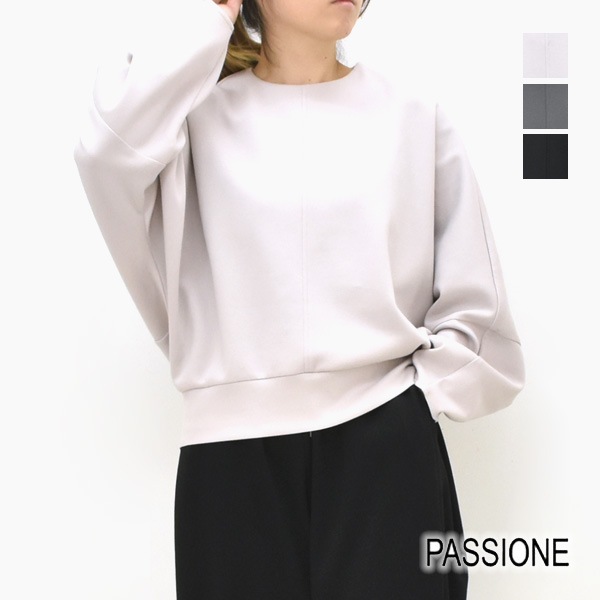 PASSIONE ѥ ץ륪С 536954 ǥ̵