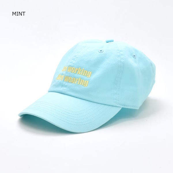 HIGH!STANDARD �ϥ�!����������� WORK SLOGAN "HARD WORKING" CAP ����å� ˹�� 1018070 ��� ��˥��å����ڥ���å��ݥ��Ȳġ�