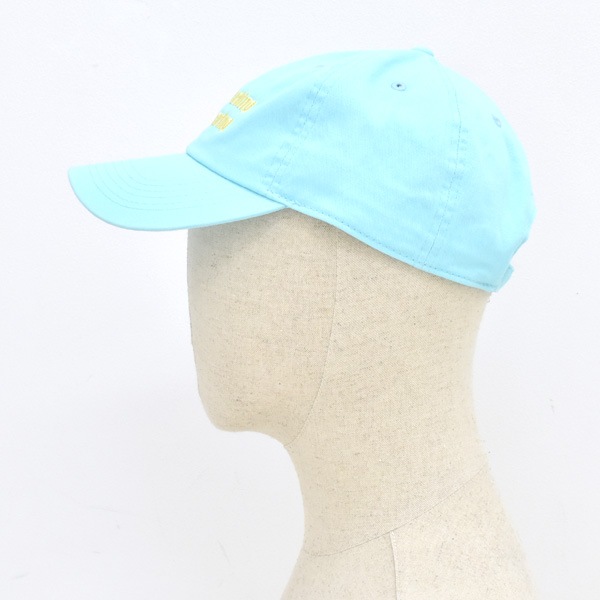 HIGH!STANDARD �ϥ�!����������� WORK SLOGAN "HARD WORKING" CAP ����å� ˹�� 1018070 ��� ��˥��å����ڥ���å��ݥ��Ȳġ�