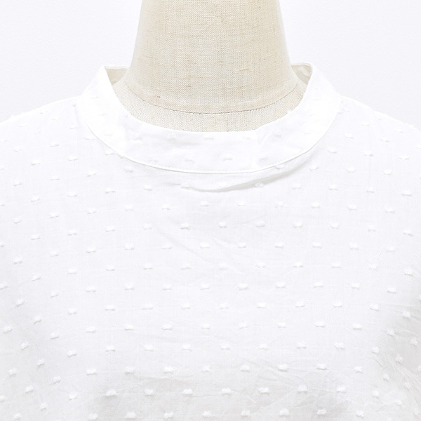 Midiumi ߥǥ ɥåȥ磻ɥץ륪С֥饦 2-739611 ǥ̵