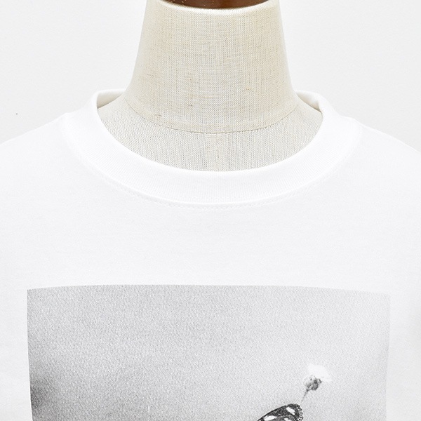 NAT �ʥå� �ե��ȥץ��ȥ��󥰥��꡼��T����� �Х��ե饤 N0070 ��ǥ������ڥ���å��ݥ��Ȳġ�