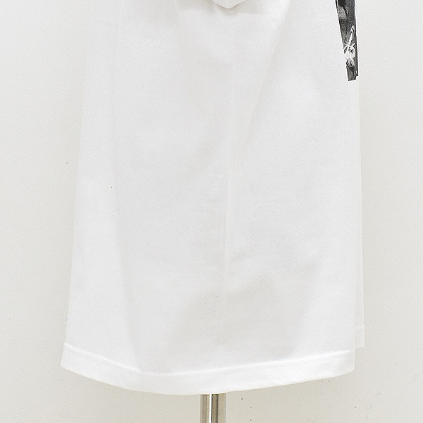 NAT �ʥå� �ե��ȥץ��ȥ��󥰥��꡼��T����� �Х��ե饤 N0070 ��ǥ������ڥ���å��ݥ��Ȳġ�