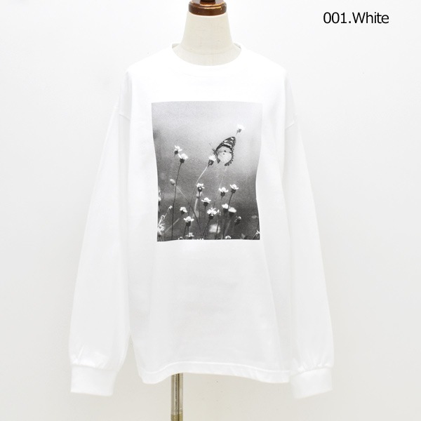 NAT �ʥå� �ե��ȥץ��ȥ��󥰥��꡼��T����� �Х��ե饤 N0070 ��ǥ������ڥ���å��ݥ��Ȳġ�