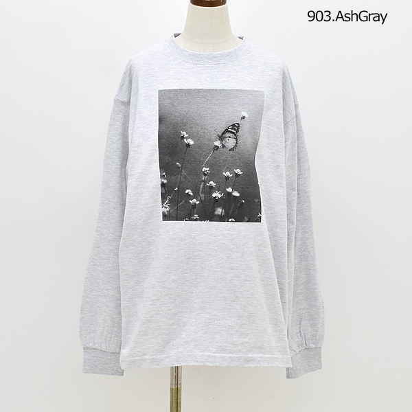 NAT �ʥå� �ե��ȥץ��ȥ��󥰥��꡼��T����� �Х��ե饤 N0070 ��ǥ������ڥ���å��ݥ��Ȳġ�