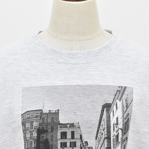 NAT ʥå եȥץȥ󥰥꡼T 󥹥 N0071 ǥڥåݥȲġ