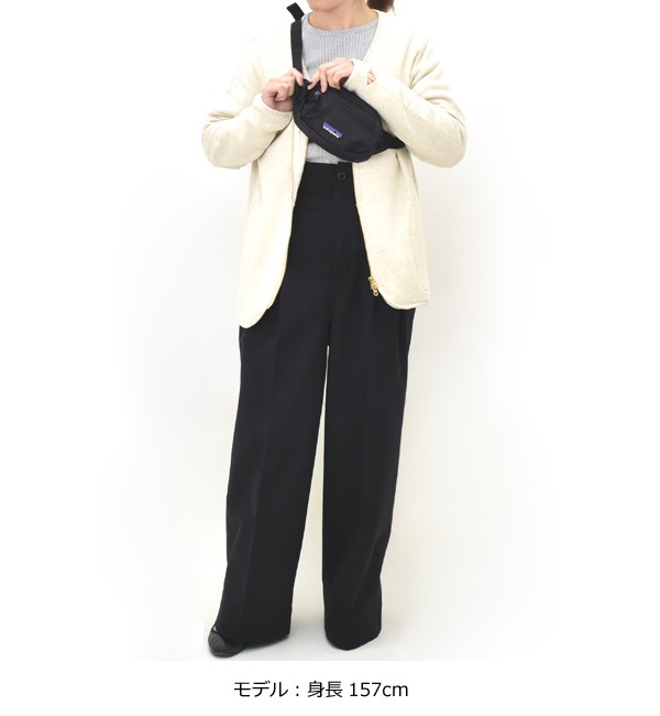 Patagonia �ѥ����˥� �ƥ������ �ߥ˥ҥåץѥå� TERRAVIA MINI HIP PACK ���������Хå� 49448 ��˥��å���