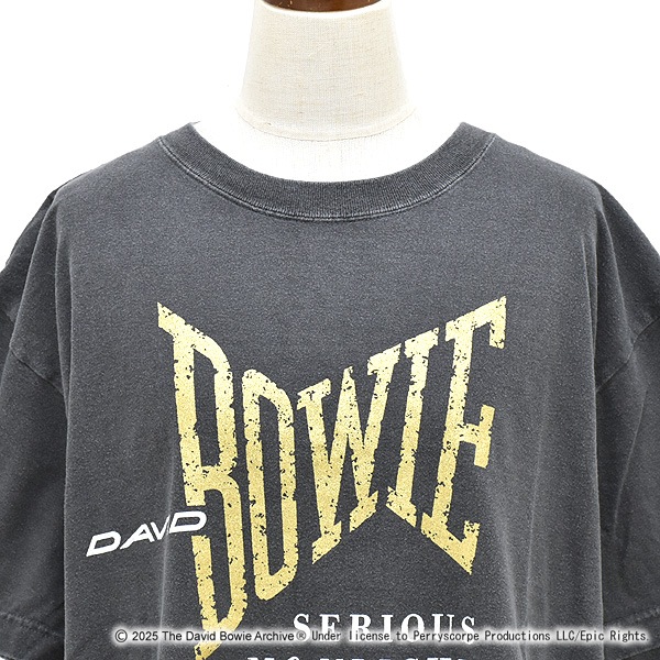 GOOD ROCK SPEED ���åɥ��å����ԡ��� �ǥ����åɡ��ܥ��� DAVID BOWIE ����å����ץ���T����� 25DAB101W ��� ��ǥ������ڥ���å��ݥ��Ȳġ�