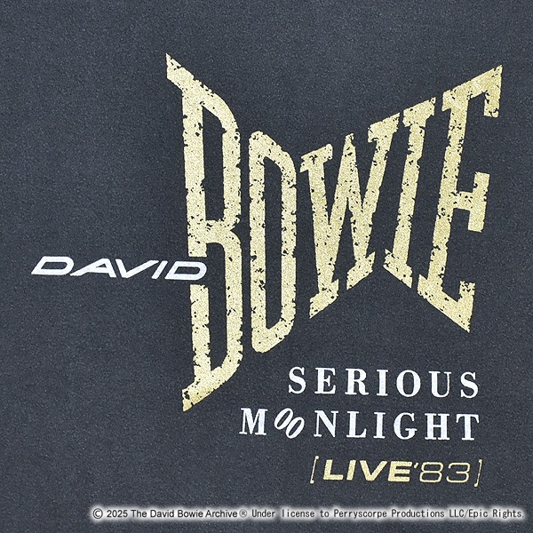 GOOD ROCK SPEED ���åɥ��å����ԡ��� �ǥ����åɡ��ܥ��� DAVID BOWIE ����å����ץ���T����� 25DAB101W ��� ��ǥ������ڥ���å��ݥ��Ȳġ�