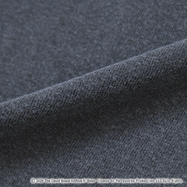 GOOD ROCK SPEED ���åɥ��å����ԡ��� �ǥ����åɡ��ܥ��� DAVID BOWIE ����å����ץ���T����� 25DAB101W ��� ��ǥ������ڥ���å��ݥ��Ȳġ�