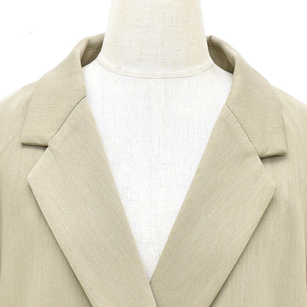 ACUTA �������� �ɥ饤���ȥ�å����֥�ơ��顼�ɥ��㥱�å� 10018518 ��ǥ�����������̵����