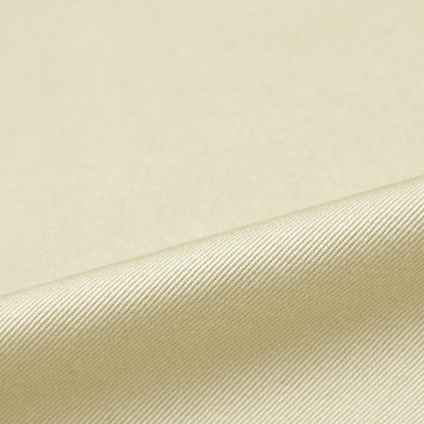 THE NORTH FACE Purple Label �Ρ����ե������ѡ��ץ�졼�٥� ���Υ��å��ե�����ɥ������� N25FE066 ��ǥ�����������̵����