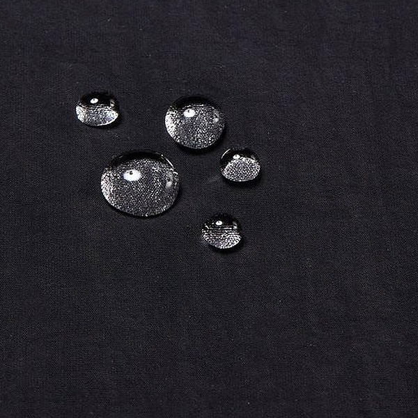 THE NORTH FACE �����Ρ������ե����� ������ѥå����㡼�ˡ��������� NPW22360 ��ǥ�����������̵����