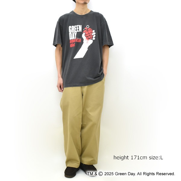 25SSGOOD ROCK SPEED åɥåԡ åTEE GREEN DAY AMERICAN IDIOT ץT ꡼ǥ  ХTEE 25GRD001WڥåݥȲġ