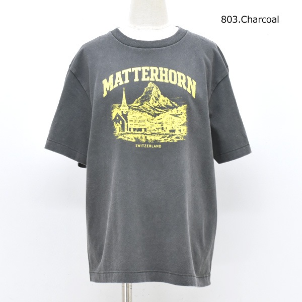 NAT �ʥå� MATTERHORN �ץ��ȥե����ɥ����å���T����� N0083 ��ǥ������ڥ���å��ݥ��Ȳġ�