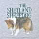 ��26AW��THE SHINZONE ���󥾡��� THE SHETLAND SHEEPDOG TEE �����ȥ��ɥ����ץɥå��ץ���T����� Ⱦµ 26AMSCU10 ��ǥ�����������̵����