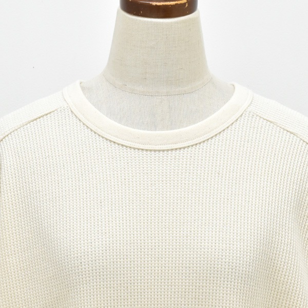 SLOANE �������� ���åȥ��åե륻�ߥ饰���ĹµT����� SL10W-T1055 ��ǥ�����������̵����