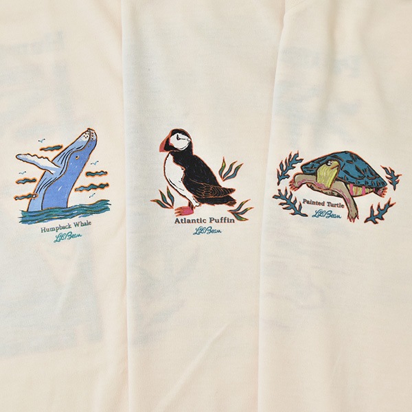 L.L.Bean Japan Edition ���륨��ӡ��� ����ѥ󥨥ǥ������ ���˥ޥ�ץ���T����� Dover Foxcroft Short-Sleeve Tee 6275-4048�ڥ���å��ݥ��Ȳġ�