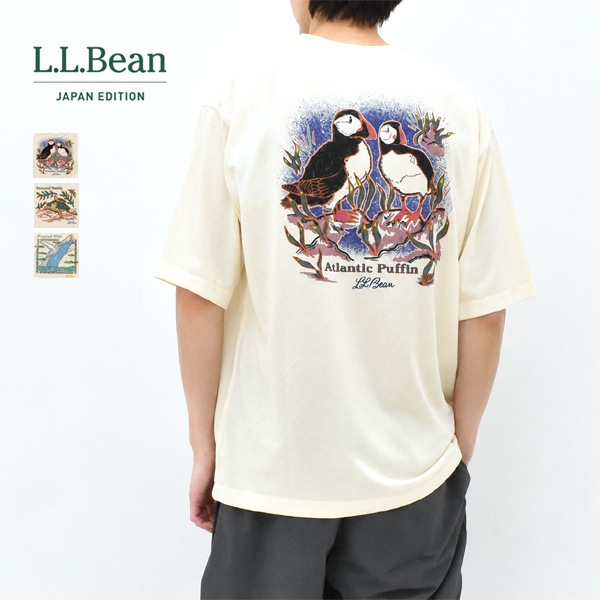 L.L.Bean Japan Edition ���륨��ӡ��� ����ѥ󥨥ǥ������ ���˥ޥ�ץ���T����� Dover Foxcroft Short-Sleeve Tee 6275-4048�ڥ���å��ݥ��Ȳġ�